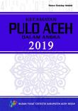 Pulo Aceh Subdistrict in Figures 2019